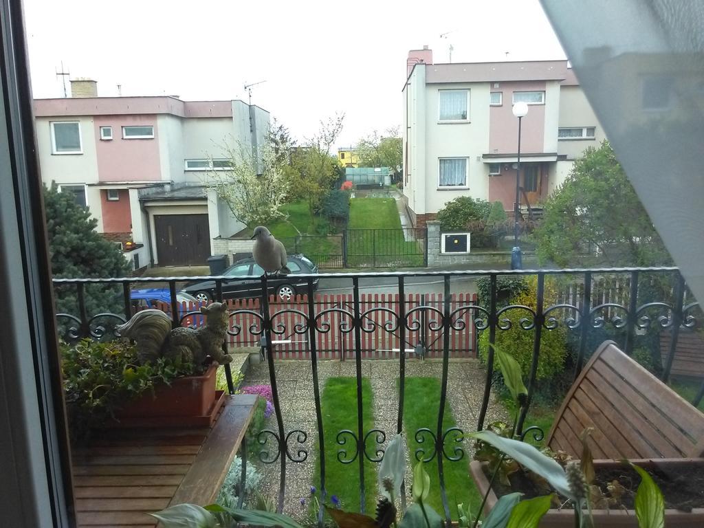 Ubytovani Irena Benesov  Bagian luar foto