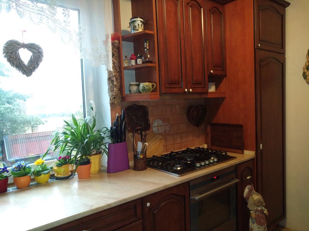 Ubytovani Irena Benesov  Bagian luar foto